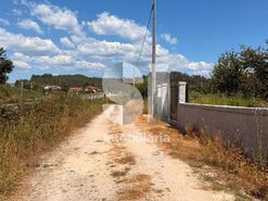 Terreno R�stico T0 - Abraveses, Viseu, Viseu - Miniatura: 11/12
