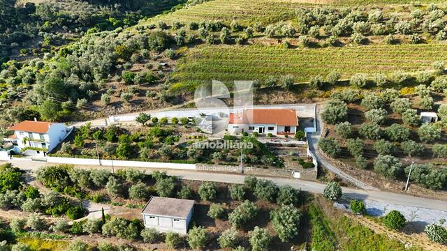 Moradia T3 - Covas do Douro, Sabrosa, Vila Real - Imagem grande