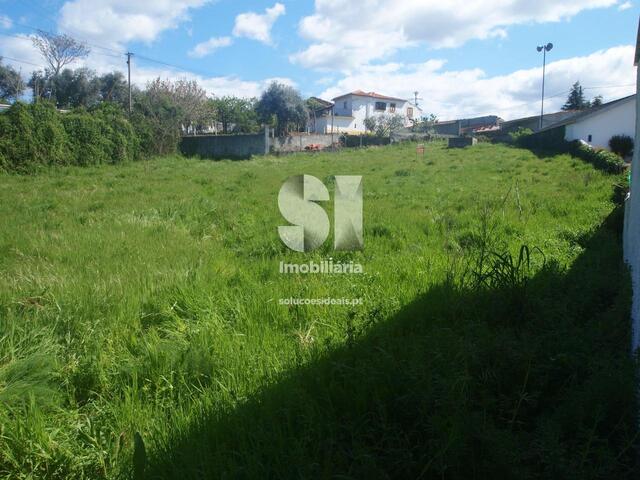Terreno R�stico - Vila Nova de Poiares, Vila Nova de Poiares, Coimbra - Imagem grande