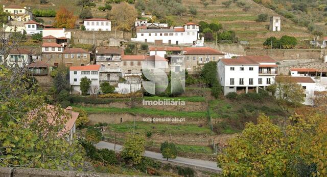 Terreno Rústico - Covas do Douro, Sabrosa, Vila Real - Imagem grande