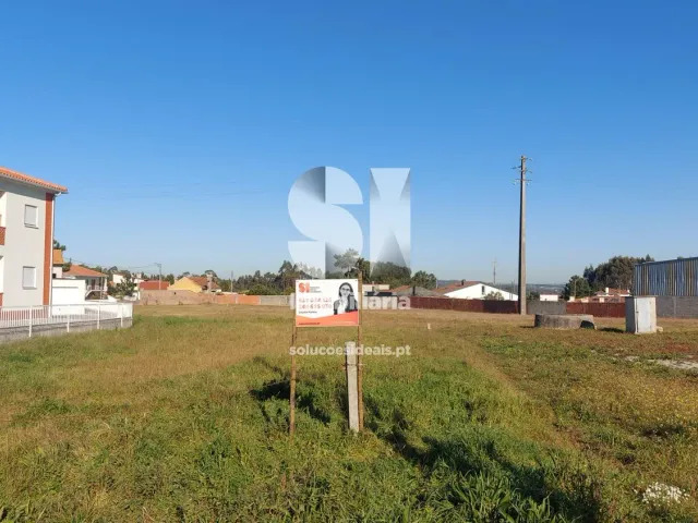 Terreno R�stico T0 - Vieira de Leiria, Marinha Grande, Leiria - Imagem grande