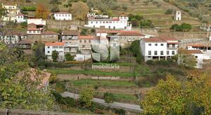 Terreno Rstico - Covas do Douro, Sabrosa, Vila Real