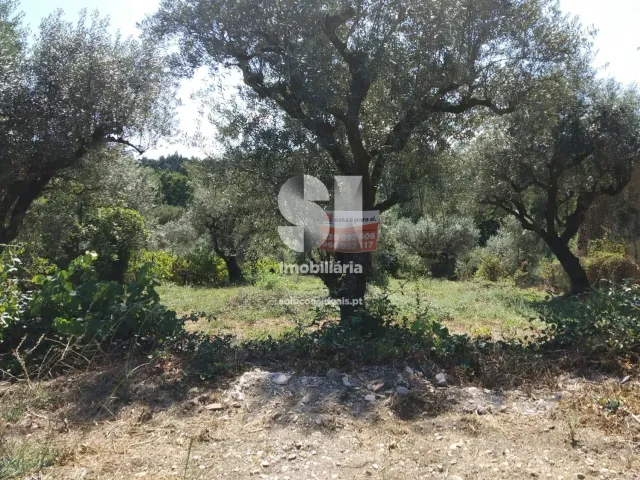 Terreno Urbano T0 - Arrifana, Vila Nova de Poiares, Coimbra