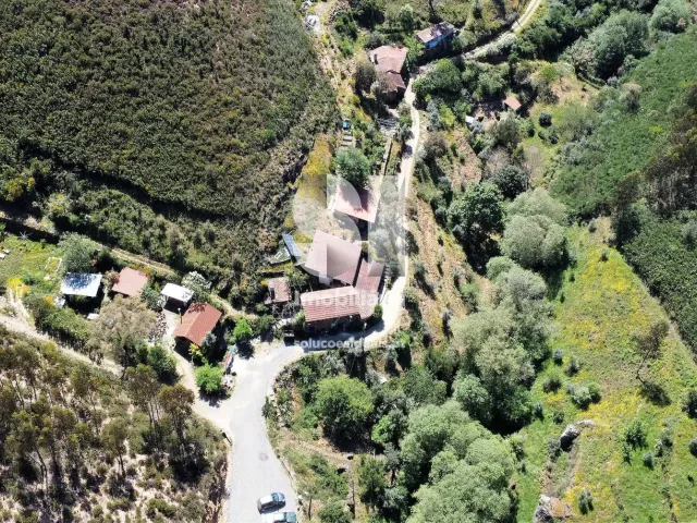 Quinta - Figueir� dos Vinhos, Figueir� dos Vinhos, Leiria