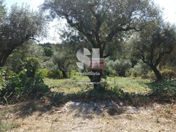 Terreno Urbano T0 - Arrifana, Vila Nova de Poiares, Coimbra