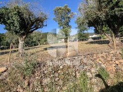 Terreno R�stico T0 - Coja, Arganil, Coimbra