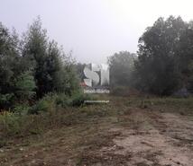 Terreno Rústico - Vilarinho, Lousã, Coimbra - Miniatura: 1/11