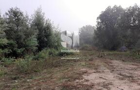 Terreno Rústico - Vilarinho, Lousã, Coimbra - Miniatura: 2/11