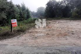 Terreno Rústico - Vilarinho, Lousã, Coimbra - Miniatura: 3/11