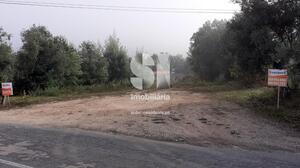 Terreno Rústico - Vilarinho, Lousã, Coimbra - Miniatura: 6/11