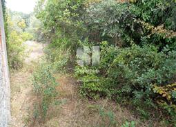 Terreno Rústico - Vilarinho, Lousã, Coimbra - Miniatura: 7/11