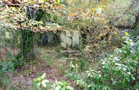 Terreno Rústico - Vilarinho, Lousã, Coimbra - Miniatura: 8/11