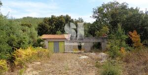 Terreno Rústico - Vilarinho, Lousã, Coimbra - Miniatura: 10/11