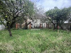 Quinta T5 - Cantanhede, Cantanhede, Coimbra - Miniatura: 14/29