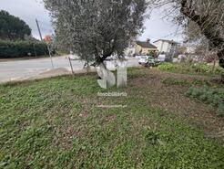 Terreno Rstico - Arganil, Arganil, Coimbra - Miniatura: 2/11