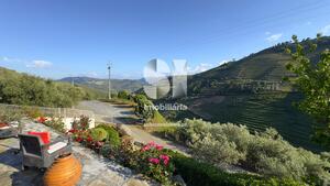Moradia T3 - Covas do Douro, Sabrosa, Vila Real - Miniatura: 26/33