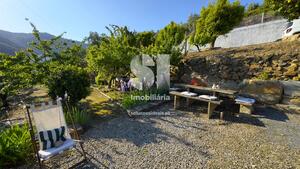 Moradia T3 - Covas do Douro, Sabrosa, Vila Real - Miniatura: 27/33
