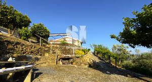 Moradia T3 - Covas do Douro, Sabrosa, Vila Real - Miniatura: 28/33