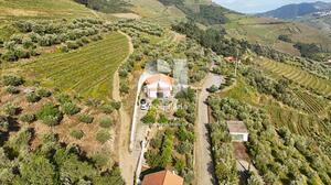 Moradia T3 - Covas do Douro, Sabrosa, Vila Real - Miniatura: 32/33