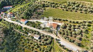 Moradia T3 - Covas do Douro, Sabrosa, Vila Real - Miniatura: 33/33