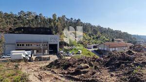Terreno Rstico - Rebordosa, Paredes, Porto - Miniatura: 36/39