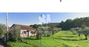 Moradia T2 - Arganil, Arganil, Coimbra - Miniatura: 2/3