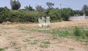 Terreno R�stico - Vila Nova de Poiares, Vila Nova de Poiares, Coimbra - Miniatura: 1/8