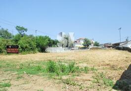 Terreno R�stico - Vila Nova de Poiares, Vila Nova de Poiares, Coimbra - Miniatura: 2/8