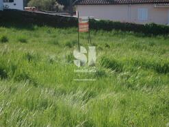 Terreno R�stico - Vila Nova de Poiares, Vila Nova de Poiares, Coimbra - Miniatura: 5/8