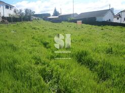 Terreno R�stico - Vila Nova de Poiares, Vila Nova de Poiares, Coimbra - Miniatura: 8/8