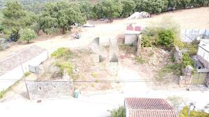 Terreno Rústico - Vila Nova de Poiares, Vila Nova de Poiares, Coimbra - Miniatura: 7/11