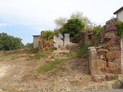 Terreno Rústico - Vila Nova de Poiares, Vila Nova de Poiares, Coimbra - Miniatura: 10/11