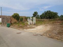 Terreno Rústico - Vila Nova de Poiares, Vila Nova de Poiares, Coimbra - Miniatura: 11/11