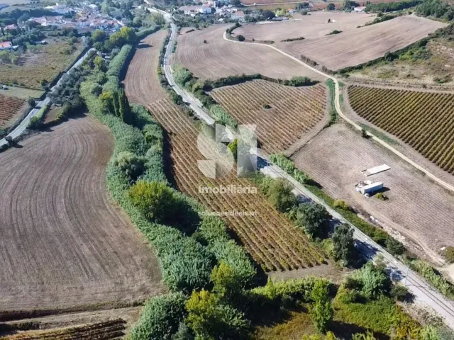 Terreno Urbano T0 - Dois Portos, Torres Vedras, Lisboa - Miniatura: 4/11