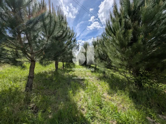 Terreno Urbano T0 - Folques, Arganil, Coimbra - Miniatura: 9/12