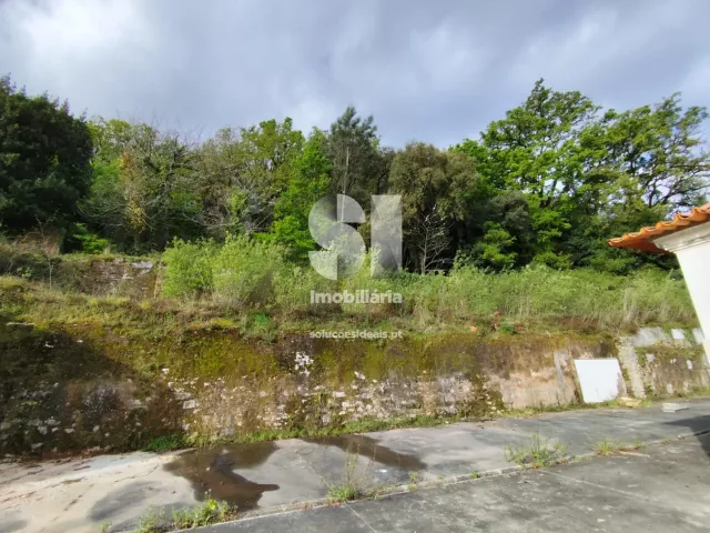 Armaz�m T0 - Arcos, Anadia, Aveiro - Miniatura: 30/32