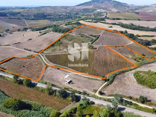 Terreno Urbano T0 - Dois Portos, Torres Vedras, Lisboa - Miniatura: 1/21