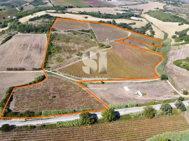 Terreno Urbano T0 - Dois Portos, Torres Vedras, Lisboa - Miniatura: 2/21