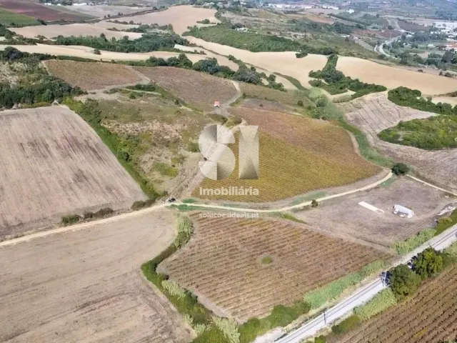 Terreno Urbano T0 - Dois Portos, Torres Vedras, Lisboa - Miniatura: 5/21