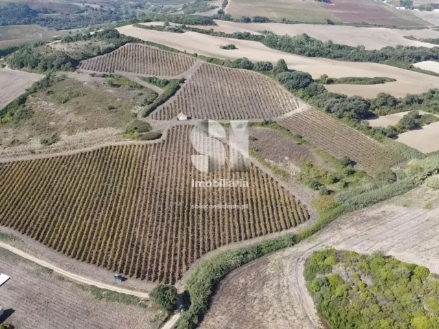 Terreno Urbano T0 - Dois Portos, Torres Vedras, Lisboa - Miniatura: 9/21