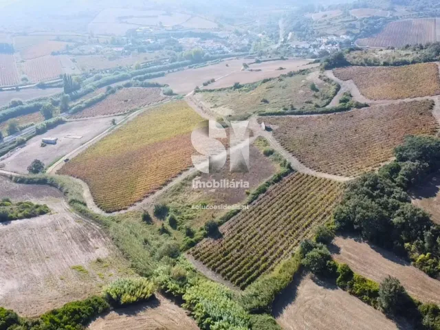 Terreno Urbano T0 - Dois Portos, Torres Vedras, Lisboa - Miniatura: 14/21