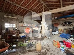 Quinta T3 - Poiares (Santo Andr�), Vila Nova de Poiares, Coimbra - Miniatura: 42/49