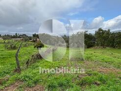 Quinta T3 - Poiares (Santo Andr�), Vila Nova de Poiares, Coimbra - Miniatura: 49/49