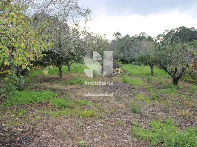 Moradia T3 - S�o Louren�o do Bairro, Anadia, Aveiro - Miniatura: 29/29