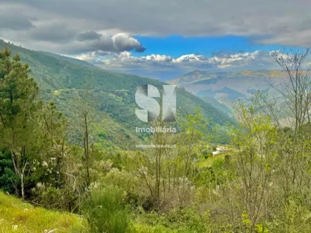 Terreno Urbano T0 - S�o Martinho de Antas e Paradela de Gui�es, Sabrosa, Vila Real - Miniatura: 1/7