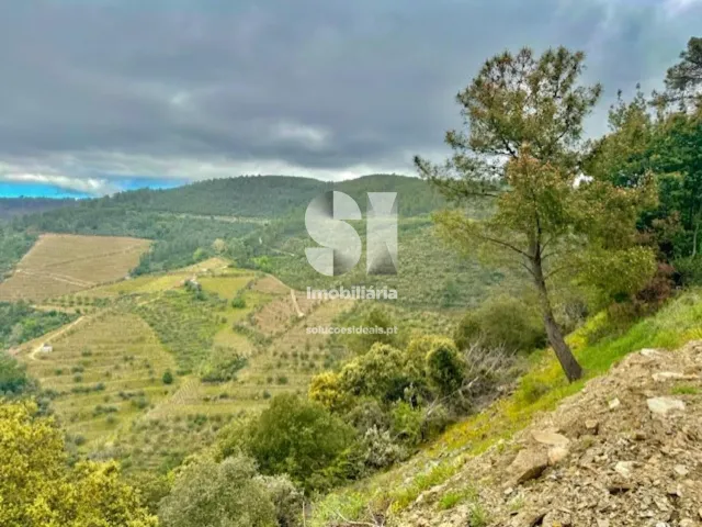 Terreno Urbano T0 - S�o Martinho de Antas e Paradela de Gui�es, Sabrosa, Vila Real - Miniatura: 2/7