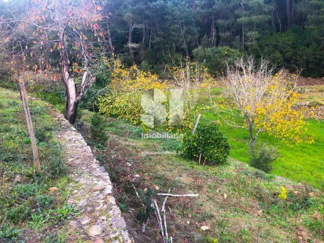 Terreno Urbano T0 - S�o Martinho de Antas e Paradela de Gui�es, Sabrosa, Vila Real - Miniatura: 12/33