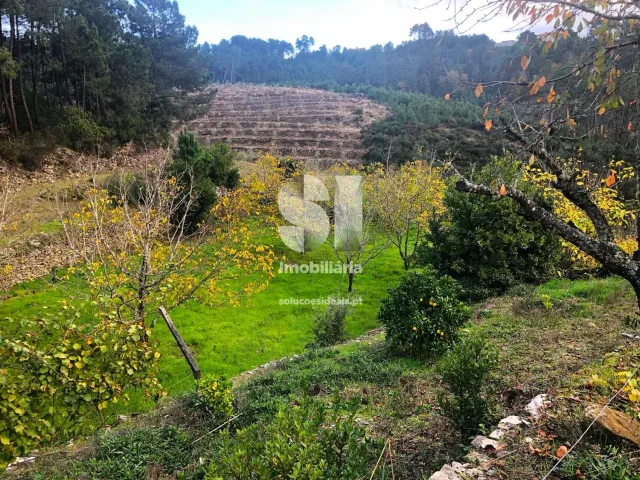 Terreno Urbano T0 - S�o Martinho de Antas e Paradela de Gui�es, Sabrosa, Vila Real - Miniatura: 13/33