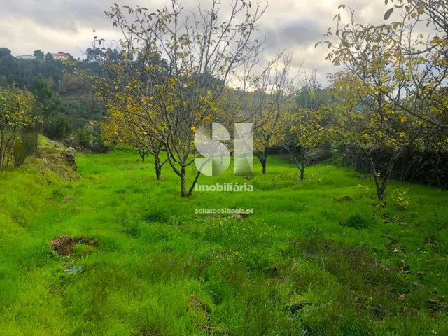 Terreno Urbano T0 - S�o Martinho de Antas e Paradela de Gui�es, Sabrosa, Vila Real - Miniatura: 16/33