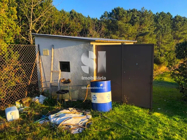 Terreno Urbano T0 - S�o Martinho de Antas e Paradela de Gui�es, Sabrosa, Vila Real - Miniatura: 31/33